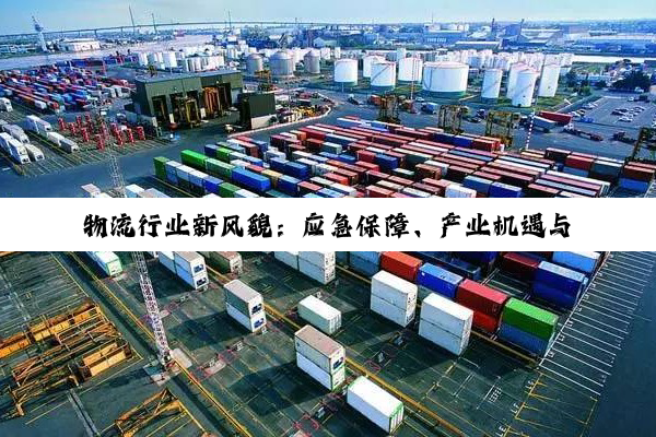 物流行业新风貌：应急保障、产业机遇与服务升级的深度透视