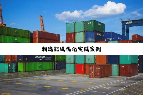 物流配送优化实践案例